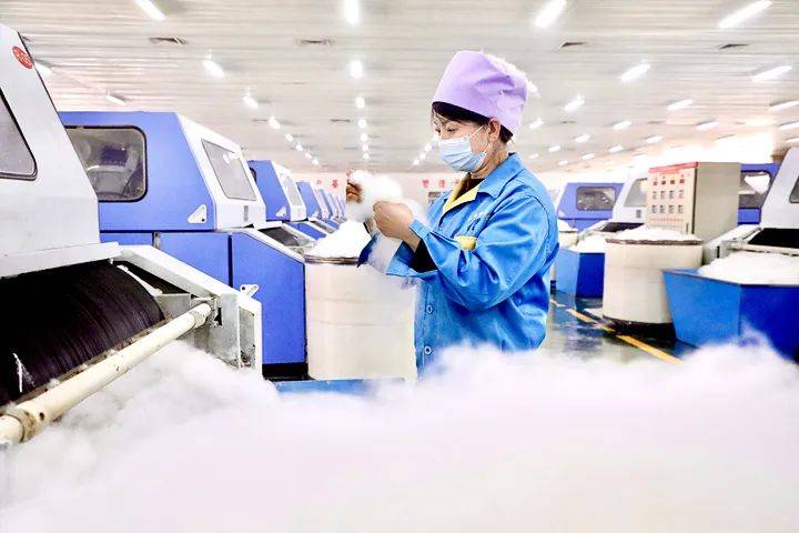 金絨早報 | 羽絨供給量增長5倍!杜爾伯特縣大鵝屠宰加工項目7月投產(chǎn) / 三穗縣羽絨產(chǎn)業(yè)園與生產(chǎn)項目啟動,打造&ldquo;原料到終端&rdquo;閉環(huán)