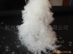 杭州凌博羽絨制品公司網(wǎng)站