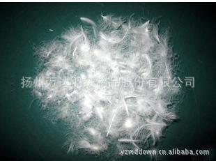 揚州萬達羽絨制品：專業(yè)韓版女式高檔羽絨服批發(fā)與訂單加工服務